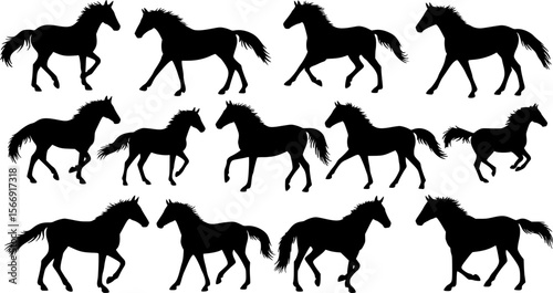 vector silhouettes of horses
