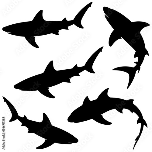Silhouetted sharks swimming in various directions