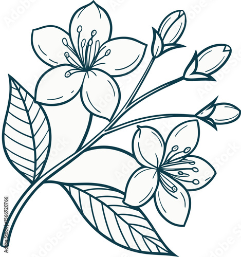 Elegant Line Art Drawing of Cherry Blossoms and Leaves