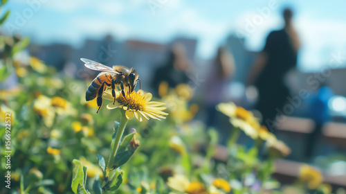 Bees and flowers on rooftop garden with blurred people in background