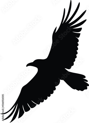 “Flying Raven Silhouette Illustration for Halloween, Gothic Art and Spooky Designs”