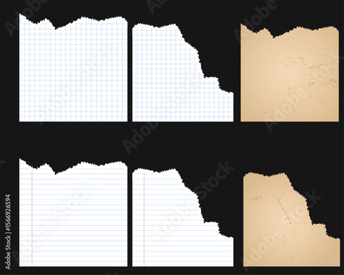 Torn paper edge collection, grid and lined paper, vintage old sheets, notebook scraps, isolated elements for notes, scrapbooking, digital collage, school, or craft design.