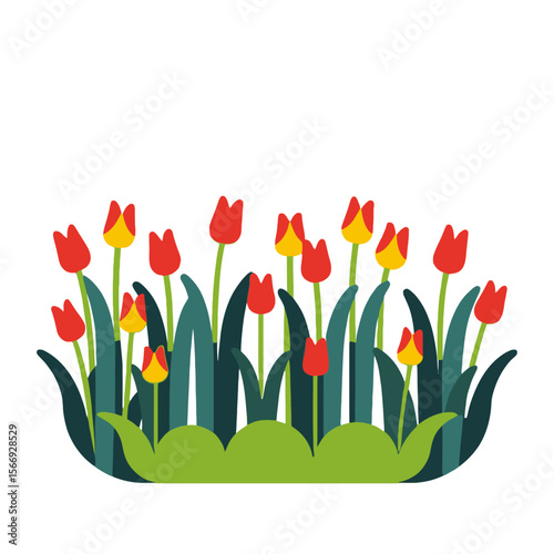 Colorful Tulip Garden Illustration-Spring Flower Bed Graphic-Vector Art of Red and Yellow Tulips-Floral Design Element for Spring Projects-Bright and Cheerful Flower Image