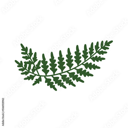 Green fern frond illustration- Delicate plant artwork for botanical designs- Natural element for creative projects- Vector graphics of fern leaves_