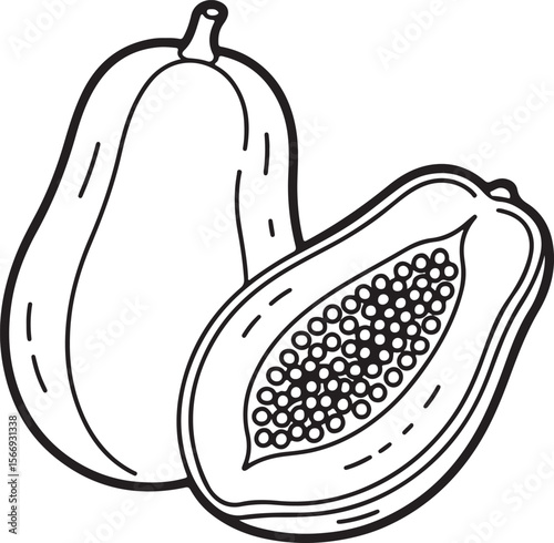 Delicious Papaya Line Art Illustration of Tropical Fruit