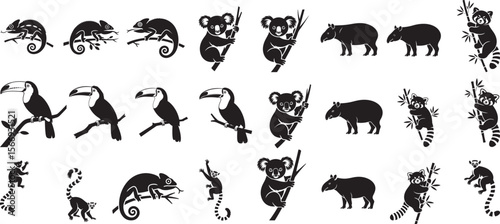 Chameleon toucan koala tapir lemur red panda vector