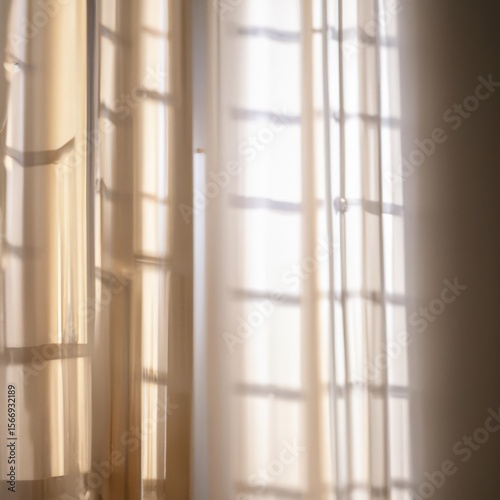 Wallpaper Mural Soft Light Through Sheer Curtains Torontodigital.ca
