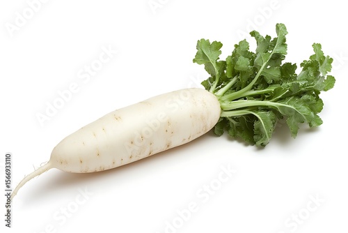 Fresh daikon radish with green leaves, a nutritious and versatile vegetable