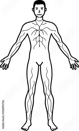 Healthcare Vector Showing Human with Varicose Veins