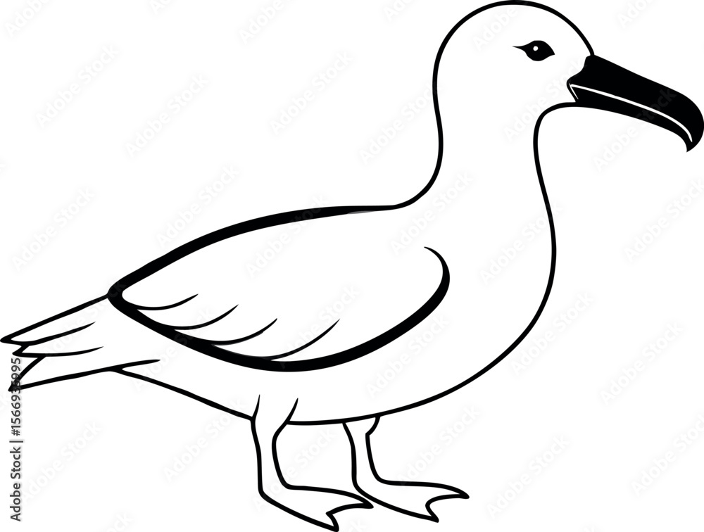 Fototapeta premium Realistic Albatross Bird Vector Design