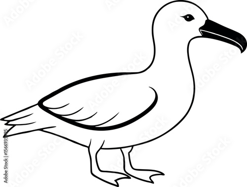 Realistic Albatross Bird Vector Design