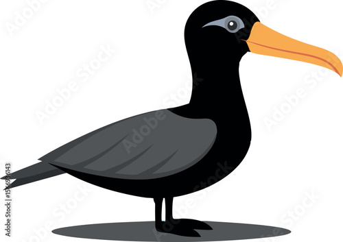 Soaring Albatross Vector Graphic