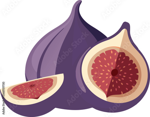 Tropical Fig Fruit Vector with Detailed Texture and Seeds