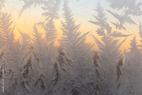 Intricate frost patterns on a windowpane at sunrise.