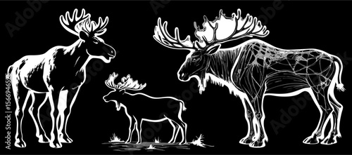 Three Moose Silhouettes: Adult, Calf, and Bull
