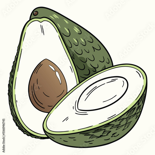 Detailed vector illustration of a fresh avocado meticulously sliced in half to reveal its vibrant green flesh and pit perfect for food related designs and