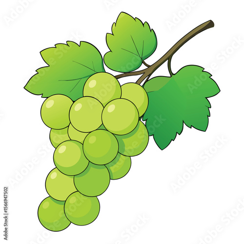 Photorealistic Vector Illustration of a Green Grape Cluster