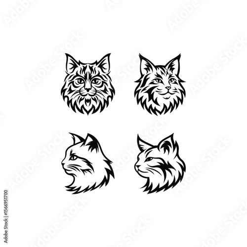 Maine Coon Head Vector Silhouette On White Background  