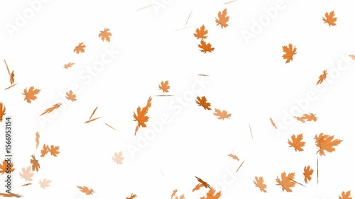 Autumn leaves falling 2D animated element. Thanksgiving seasonal clip in flat style, 4K resolution with white background. Cozy October foliage motion for autumn projects. Footage