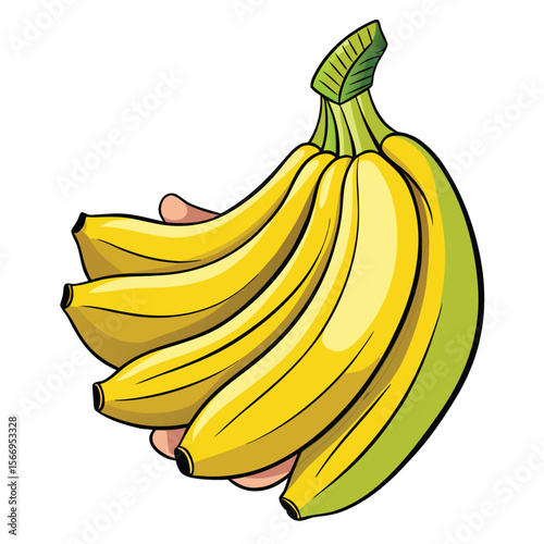 vector illustration of bananas
