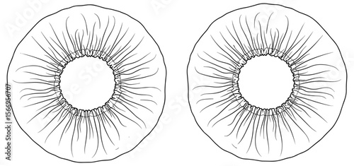 Vector technical drawing elastic shower cap bonnet, circular gathered edge, sewing pattern flat sketch, top view, line art