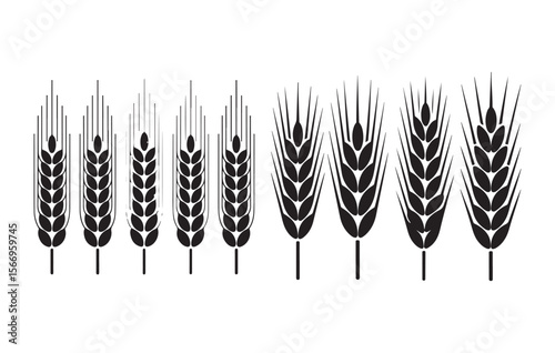Black wheat ears graphic design grain agriculture