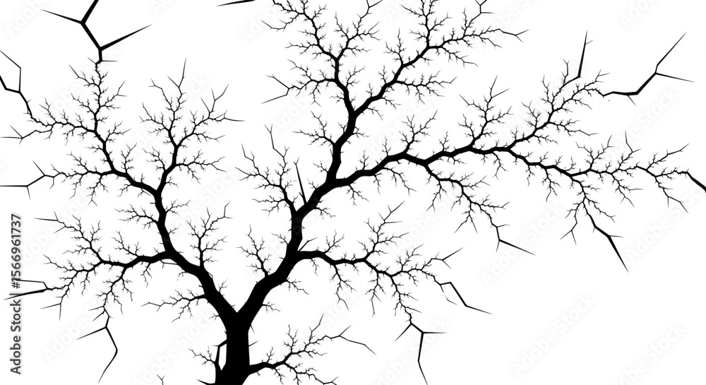Obraz premium Stunning Fractal Tree Branches in Minimalist Black and White Art 