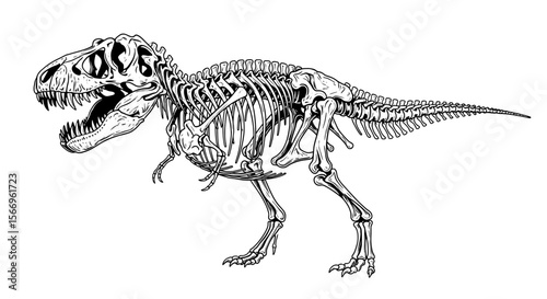 Dinosaur Fossil Skeleton - Prehistoric Science Art
