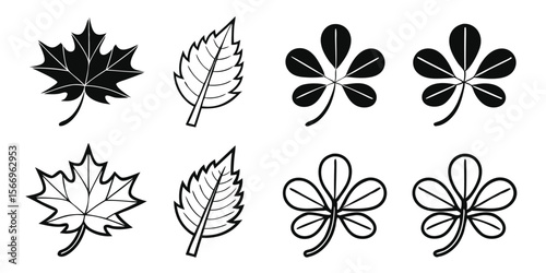 Variety of black and white leaf icons represent nature's autumn in vector