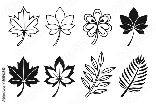Eight botanical leaf icons display diverse shapes and styles in black and white tones against transparency