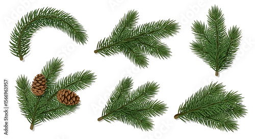 Evergreen branches and pine cones set