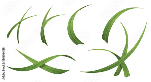 Green grass blades design element
