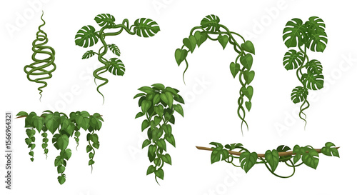 Jungle climbing plants