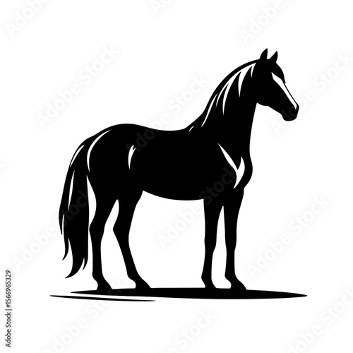 Horse Standing Still
