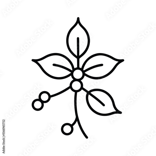 black outline line art a mistletoe on white backgr.eps