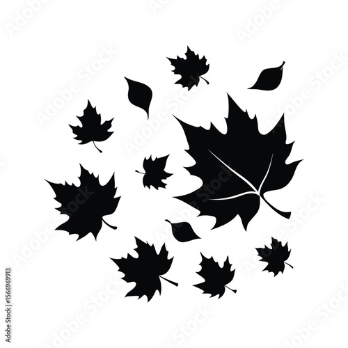 Black and white artistic representation of autumnal maple and plane tree leaves