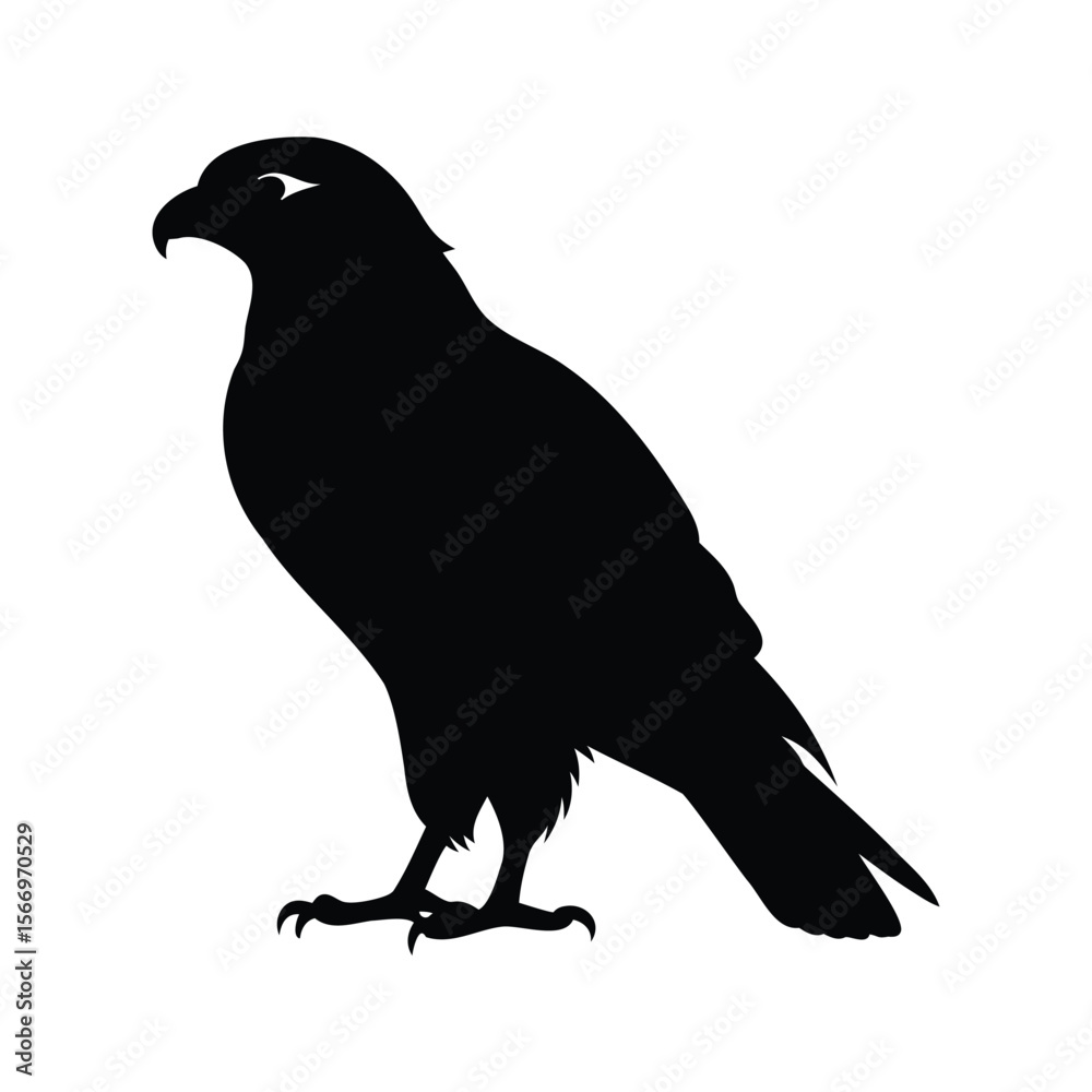 Fototapeta premium Majestic falcon silhouette against a clean white background creating a minimalist image