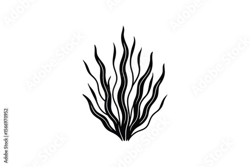 Elegant Seaweed or Kelp Silhouette on White Background for Creative Designs silhouette