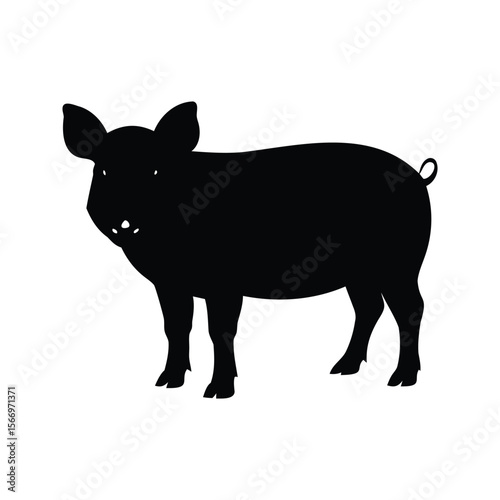 Silhouette of a domestic pig standing on a white background isolated