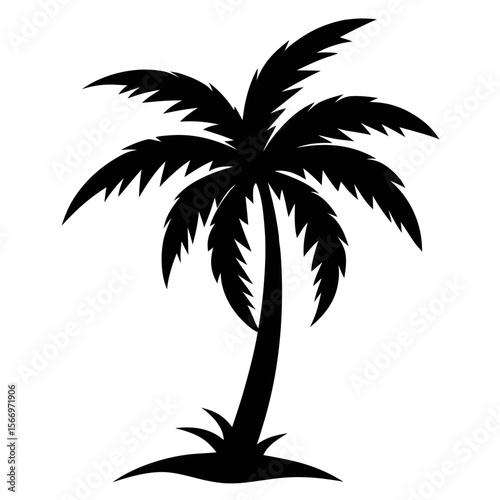 silhouette of coconut tree