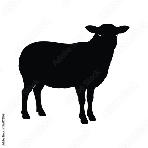 Silhouette of a black sheep standing isolated on a white background
