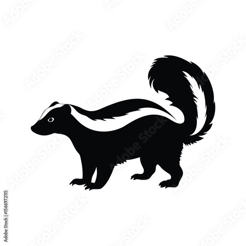 Elegant black and white skunk in silhouette with a fluffy tail