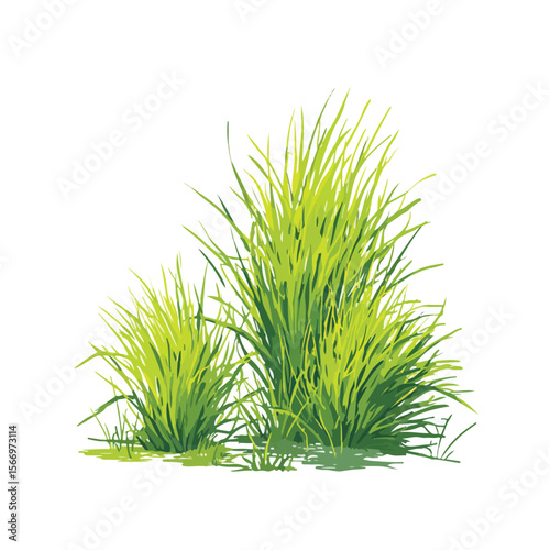 gras isolated in White Background, gras vector, Flat lay vector illustration