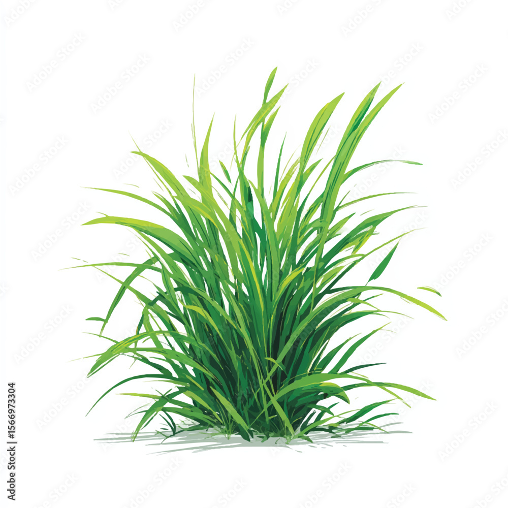 Fototapeta premium gras isolated in White Background, gras vector, Flat lay vector illustration