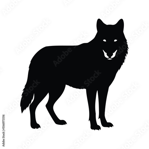 Silhouette of a wolf standing facing forward, strong and elegant animal