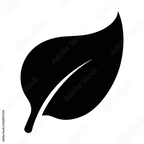 Elegant black leaf illustration on a white background depicting nature and simplicity