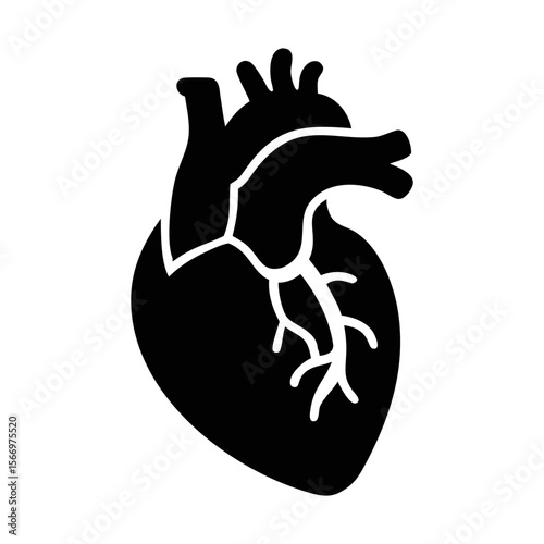 Silhouette representation of human heart anatomy and vascular system with valves