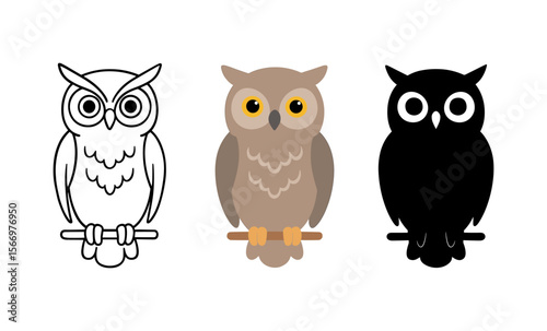 Owl evolution: line art to colorful realism to silhouette