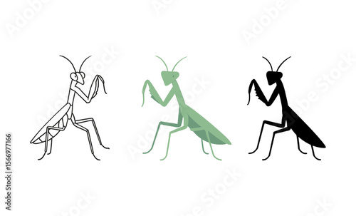 Praying mantis trio: colorful, black, and white vector illustrations on white background