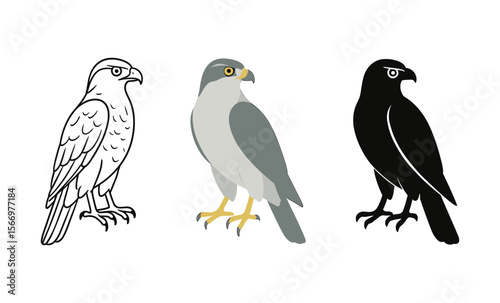 Three stylized falcon designs in black and white, gray, and silhouette variations